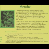 Menthe, huile essentielle (txt)